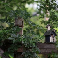 second home - garden decoration stock pictures, royalty-free photos & images