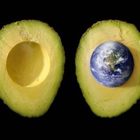 seed of life; planet earth as pit in green avocado - food stock pictures, royalty-free photos & images