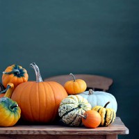 selection of pumpkins and squash on table - home decoration stock pictures, royalty-free photos & images