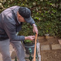 senior making a flower holder and a table in one - garden decoration stock pictures, royalty-free photos & images