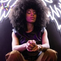 serene african american female with closed eyes sitting on hunkers under bright wings shaped illumination - fashion photos et images de collection