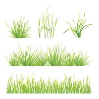 set of green grass pattern - garden decoration stock illustrations