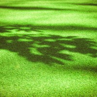 shadow of a tree on the green grass lawn - garden decoration stock pictures, royalty-free photos & images