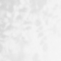 shadows of tree leaves on a white background - garden decoration stock pictures, royalty-free photos & images