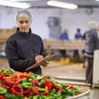she's got an eye for quality control - food stock pictures, royalty-free photos & images