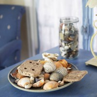 shells on a table close-up - home decoration stock pictures, royalty-free photos & images