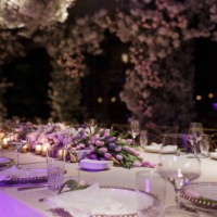 shiny glasses on the stylishly decorated festive table - home decoration stock pictures, royalty-free photos & images