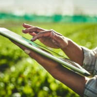 shot of an unrecognisable woman using a digital tablet while working on a farm - food stock pictures, royalty-free photos & images