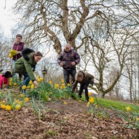 siblings on an easter egg hunt - garden decoration stock pictures, royalty-free photos & images