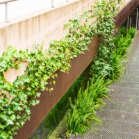 side view of a plant decoration on the outside wall of a building with no people around it - garden decoration stock pictures, royalty-free photos & images