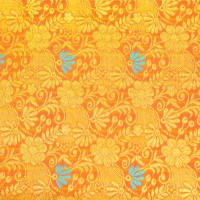 silk sari - fashion stock pictures, royalty-free photos & images