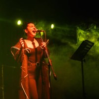 singer of a music band performing on, stage light and smoke effects. - concert stock pictures, royalty-free photos & images