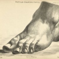 sketching foot standing flat, victorian art figure drawing copies 19th century - nails art stock illustrations