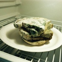 slices of bread with mould in refrigerator - food stock pictures, royalty-free photos & images
