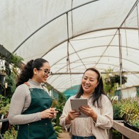 small business owner mentoring employee - garden decoration stock pictures, royalty-free photos & images