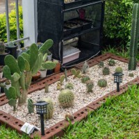 small cactus garden in residential area planting as ornamental garden. - garden decoration stock pictures, royalty-free photos & images