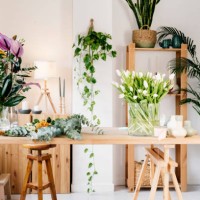 small flower business. florist and small business concept. - home decoration stock pictures, royalty-free photos & images