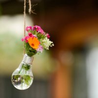 small flowers in a lightbulb in backyard - garden decoration stock pictures, royalty-free photos & images
