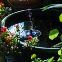 small solar fountain running in a garden pond surrounded by plants - garden decoration stock pictures, royalty-free photos & images