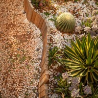 small succulent garden - garden decoration stockfoto's en -beelden
