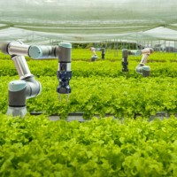 smart farm and automatic robot mechanical arm harvesting vegetables - food stockfoto's en -beelden