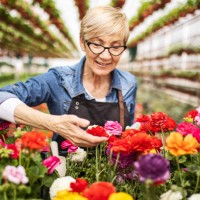 smelling flowers - garden decoration stock pictures, royalty-free photos & images