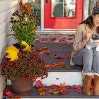 smiling girl hugging cat on autumn porch - garden decoration stock pictures, royalty-free photos & images