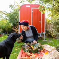smiling senior woman with red dyed hair stroking her dog while tinkering autumnal decoration - garden decoration stock pictures, royalty-free photos & images