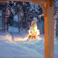 snow covered christmas tree outdoors - garden decoration stock pictures, royalty-free photos & images