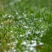 snow in grass - garden decoration stock pictures, royalty-free photos & images