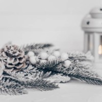 snowy christmas branch and white lantern - home decoration stock pictures, royalty-free photos & images