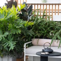 sofas, tables, chairs and green plants on residential balconies - garden decoration stock pictures, royalty-free photos & images