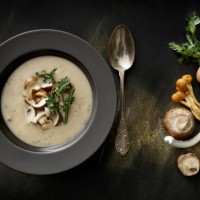 soups: mushroom soup still life - food stock pictures, royalty-free photos & images