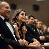 spectators sitting in the theater - concert stock pictures, royalty-free photos & images