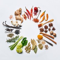 spice colour wheel - food fotografías e imágenes de stock