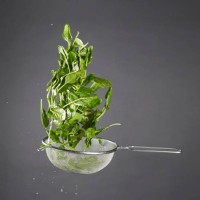 spinach - food stock pictures, royalty-free photos & images