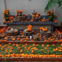 spiritual offerings on a day of the dead [día de los muertos] altar in a colonial era courtyard - garden decoration stock pictures, royalty-free photos & images