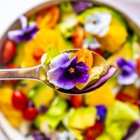 spoon of mixed salad with avocado, tomatoes and edible flower, close-up - food stock pictures, royalty-free photos & images