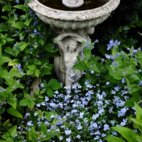 spring again - garden decoration stock pictures, royalty-free photos & images