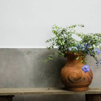 spring flower in a vase against a cement wall - garden decoration stock pictures, royalty-free photos & images