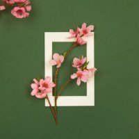 spring flowers border design - branches of pink and white peach, cherry and apricot flowers blossom on dark green background with white picture frame, flat lay, copy space. - garden decoration stock pictures, royalty-free pho