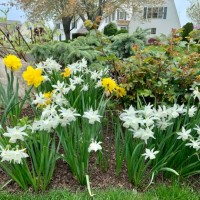 spring garden - garden decoration stock pictures, royalty-free photos & images