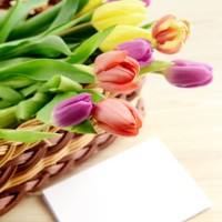 springtime decoration with tulips and white note paper copy spac - garden decoration stock pictures, royalty-free photos & images