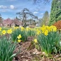 springtime in queen elizabeth park - garden decoration stock pictures, royalty-free photos & images
