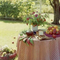 Spur-of-the-moment luncheon in the shade of a big tree with a centerpiece of zinnias.