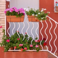 stairs with flower pots on the handrail on the outside of a house with door and window in the background, front view - garden decoration stock pictures, royalty-free photos & images