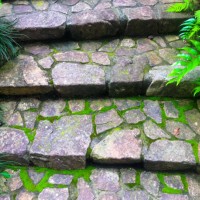 steps - garden decoration stock pictures, royalty-free photos & images