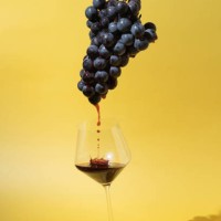 still life with black grapes and flowing red wine into a glass on yellow background - food stock pictures, royalty-free photos & images