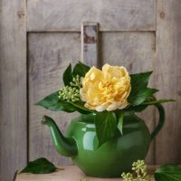 still life with fresh yellow english rose flower and ivy blossom in an old vintage green enamel teapot. - garden decoration stock pictures, royalty-free photos & images