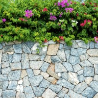 stone wall with tropical floral copy space scene - garden decoration stock pictures, royalty-free photos & images
